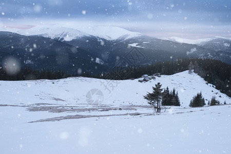 冬季下起雪的山脉图片