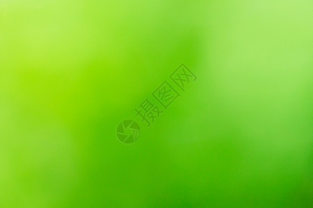 绿色模糊背景和阳光背景图片