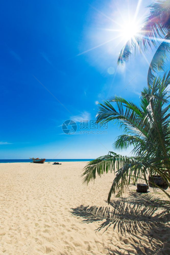 棕榈树和蓝色环礁湖中的热带海滩图片