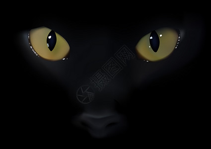 黑猫眼背景图片