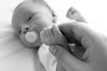 黑白婴儿素材亲爱父折叠小儿子手的黑白照片背景