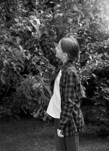 美丽的少女在花园采苹果的黑白照片图片