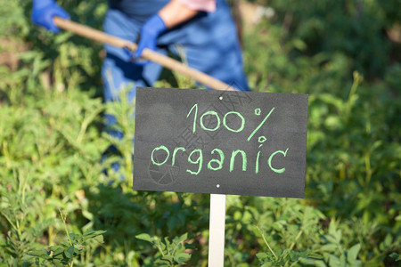 环境管理体系认证在非基因改造植物园工作的农民背景
