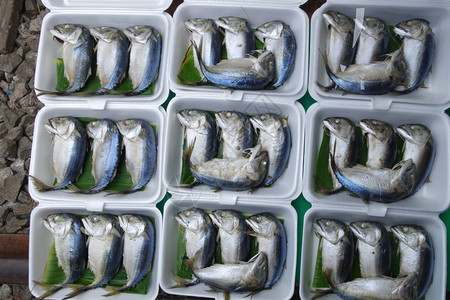MaeKlongMackerel鱼在市场上销售MaeKlong鱼图片