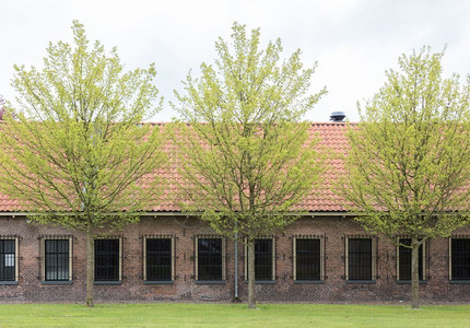 古老的红色屋顶在荷兰式房子的红色屋顶上图片
