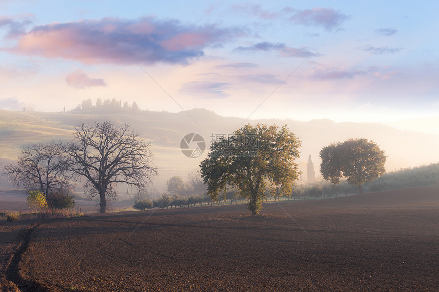 福吉日出乡村风景托斯卡纳意大利欧洲图片
