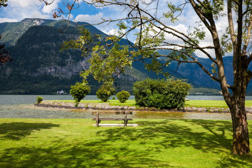 绿色夏季城市公园山湖高风景图片
