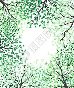 裸背美女有树叶的木矢量说明有树叶的木矢量说明有森林的景观背插画