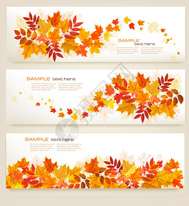 一组带有多色叶子的抽象秋季横幅图片