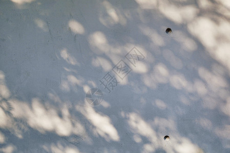 生混凝土壁纹理上的树影背景图片