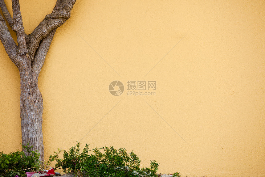 墙上的树绿和花抽象背景装饰图片