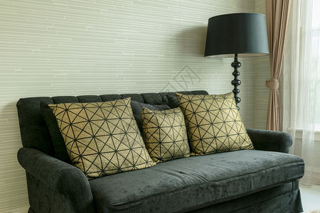 室内优雅的客厅黑色天鹅绒沙发上有金型枕头图片