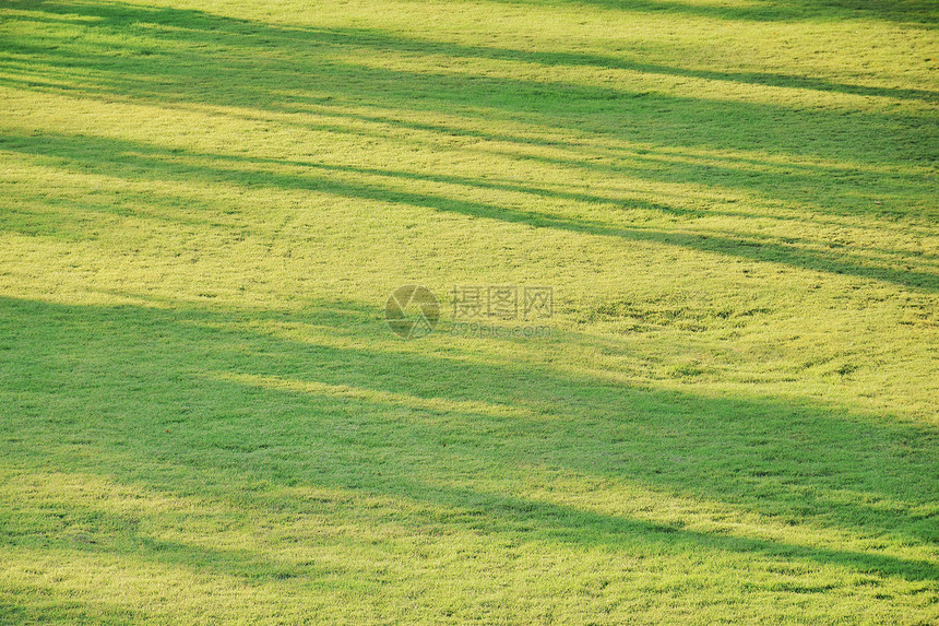 草地树影的抽象背景图片
