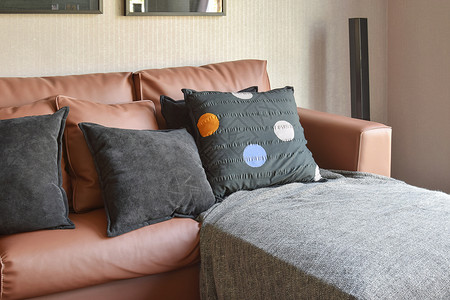 客厅的沙发上的珊瑚绒枕头背景图片