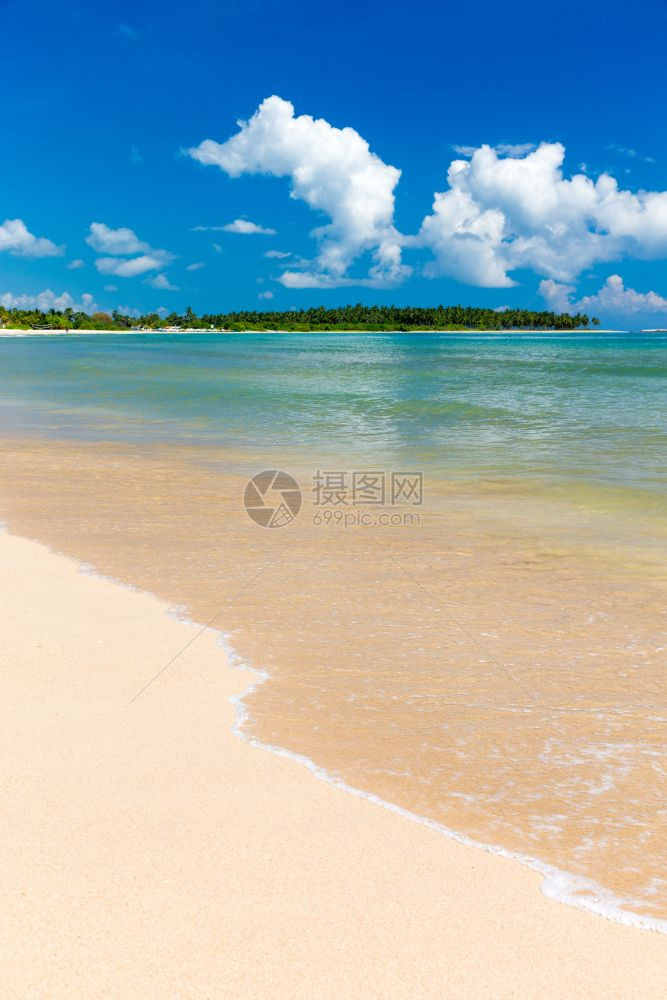 美丽的海滩热带海滩和棕榈树假期的概念图片