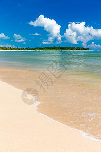 美丽的海滩热带海滩和棕榈树假期的概念图片