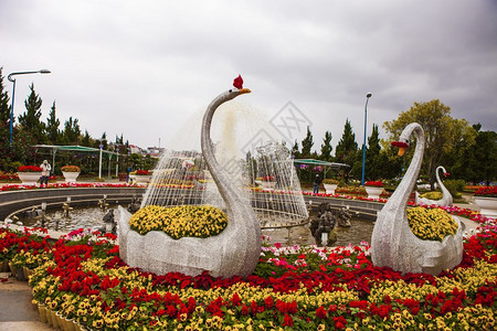 天鹅雕塑2017年月日花园天鹅背景
