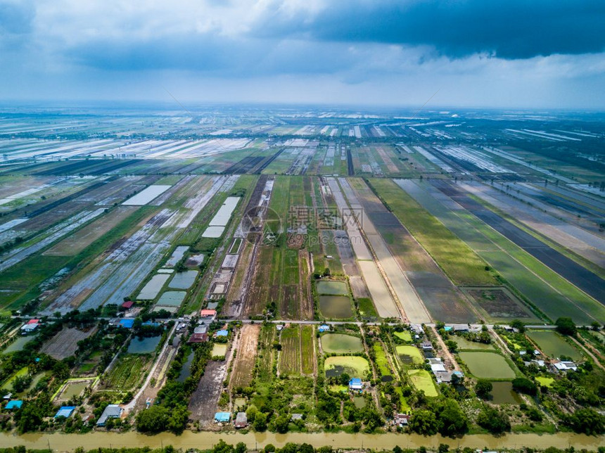 泰国大米田空中观察图片