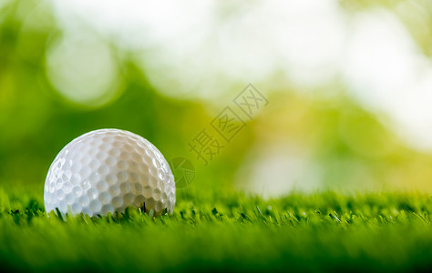 绿地上的高尔夫球背景图片