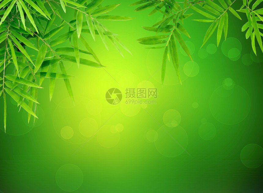 竹叶含有抽象的绿色布基图片