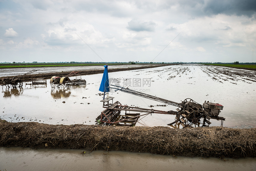 用于农业土壤准备的拖拉机稻田中水稻田图片