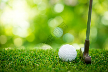 绿色高尔夫球和背景图片