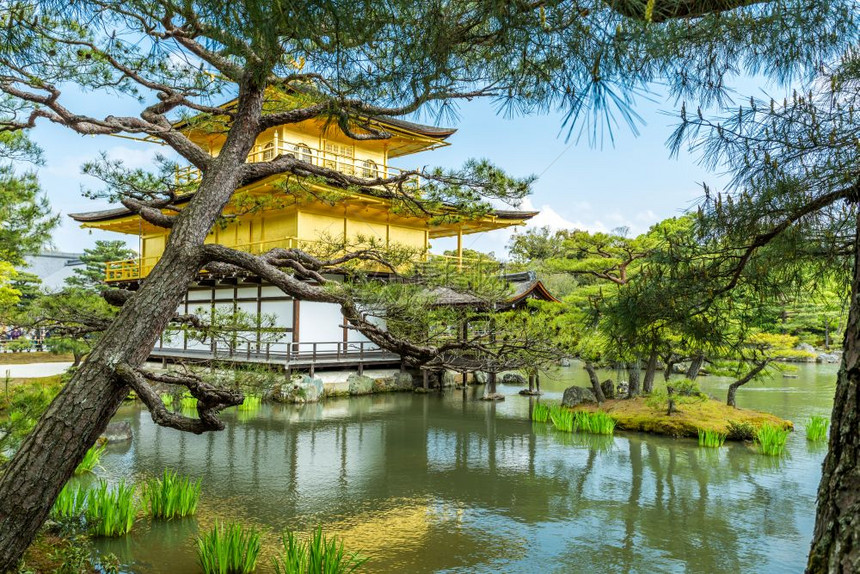 日本京都金宫寺殿建筑图片