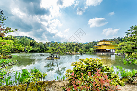 日本京都金宫寺殿建筑高清图片