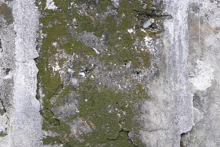 玷污的混凝土墙有泥纹理和苔丝绿藻有纹理背景背景