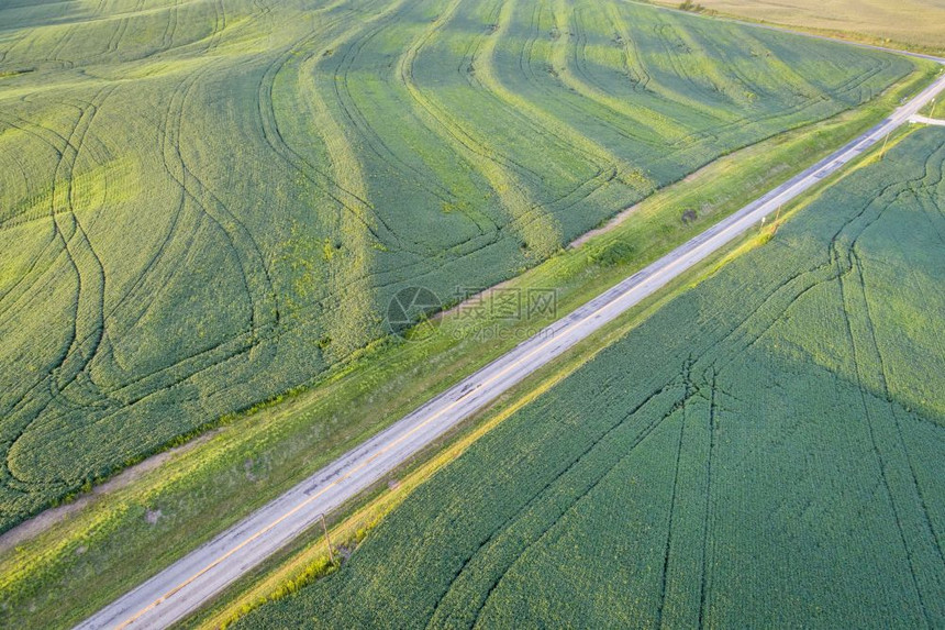 对密苏里州绿色大豆田和高速公路及拖拉机脚印的绿色大豆田和高速公路的空中观察夏末图片