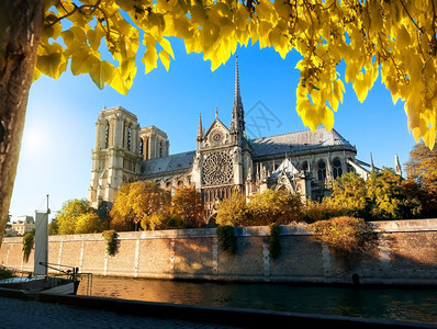 著名的法国巴黎圣母会大教堂图片