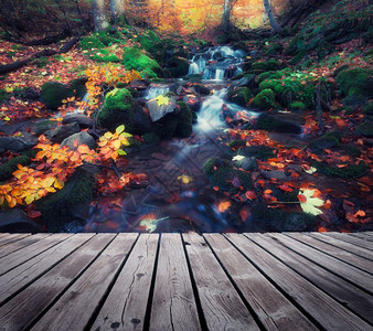 秋色森林中的小溪带木路图片