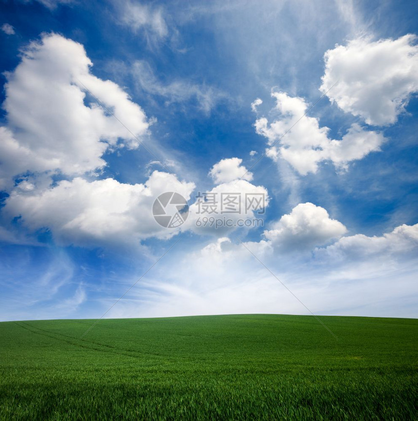 绿草和蓝云天空图片