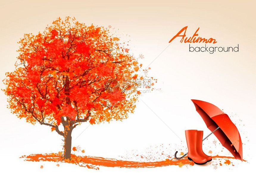 秋天的横幅树雨伞靴矢量图片