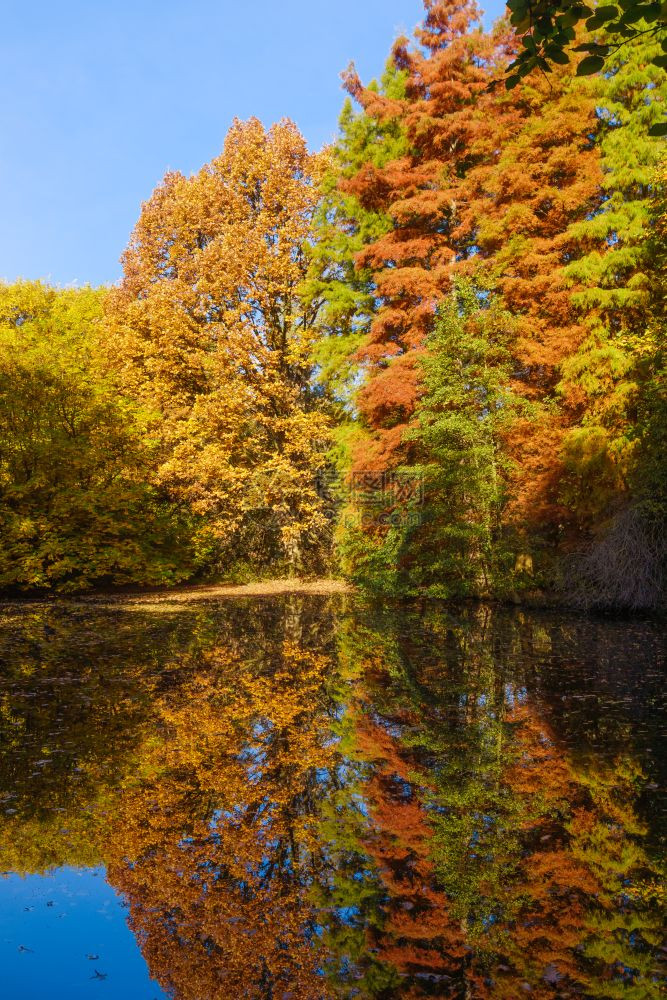 秋天风景公园图片