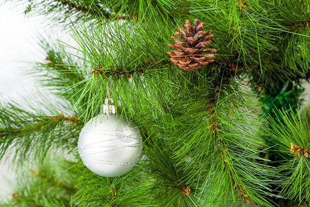 圣诞舞会挂在松树枝上圣诞装饰背景图片