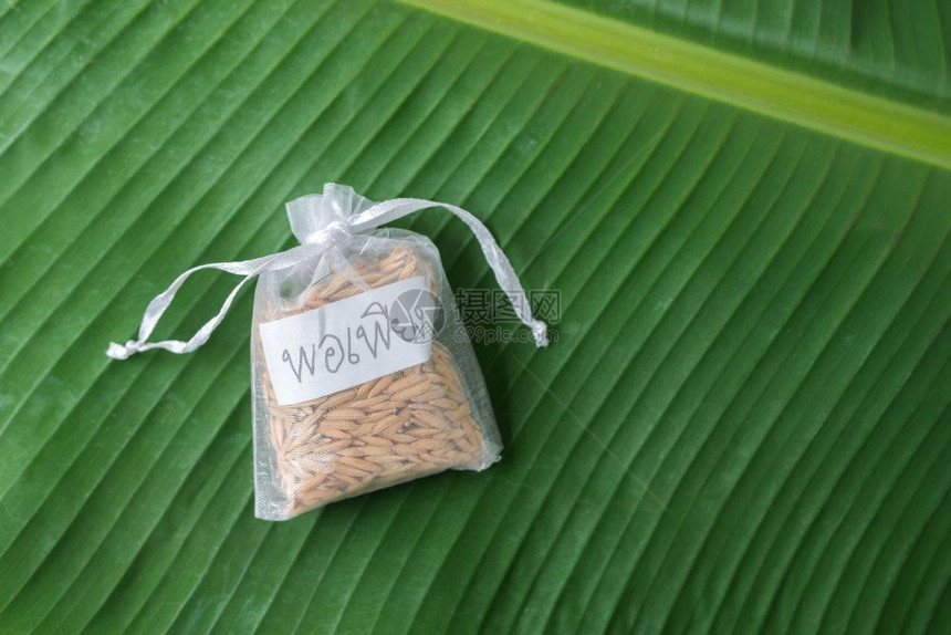 带字母的稻田大米有泰字标记的稻田足以满泰王的哲学图片