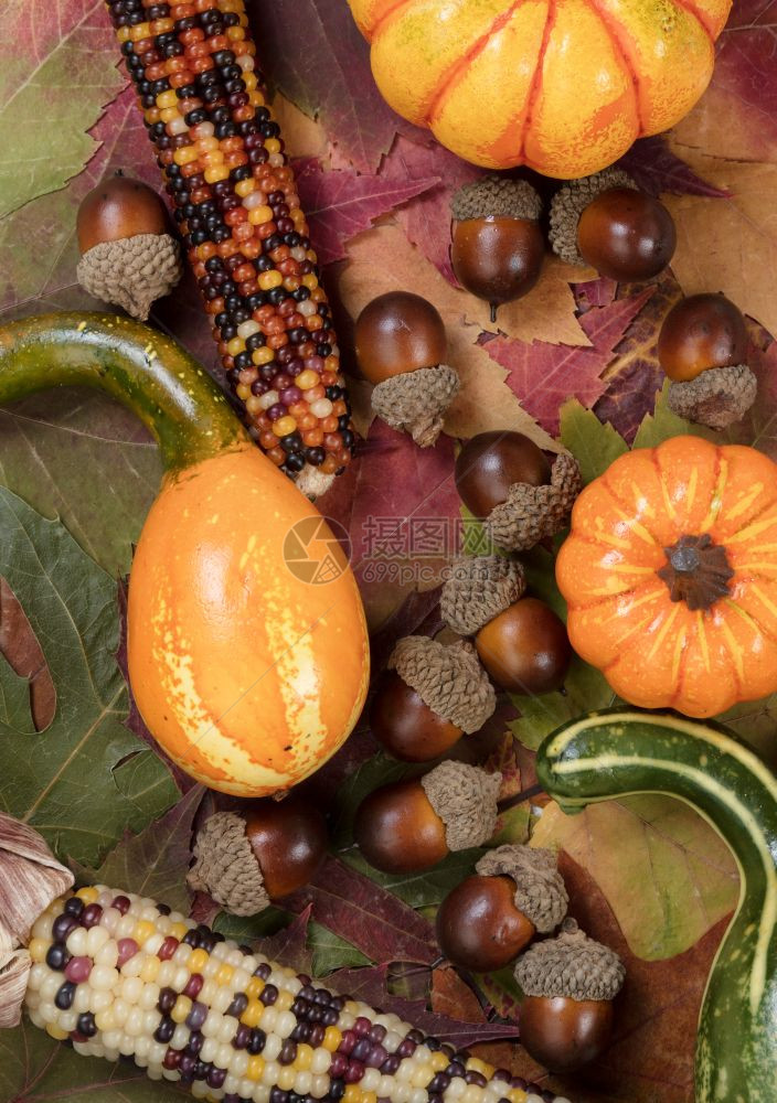 为感恩节和秋幕背景配有果玉米和橡的秋叶垂直框架图片