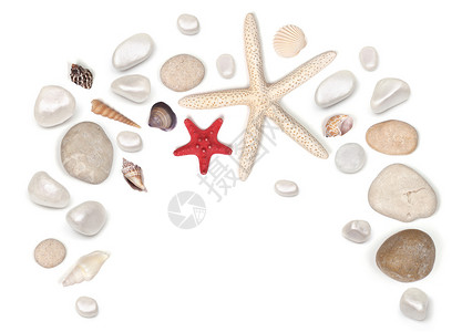 海星元素白色的石和贝壳背景