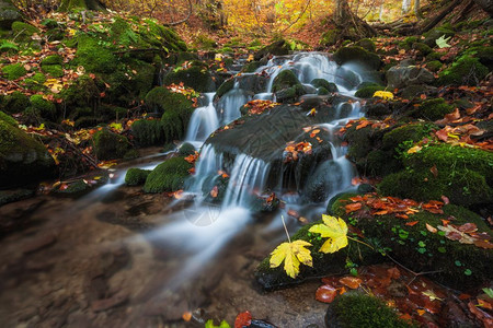 丰富多彩的秋季森林瀑布图片