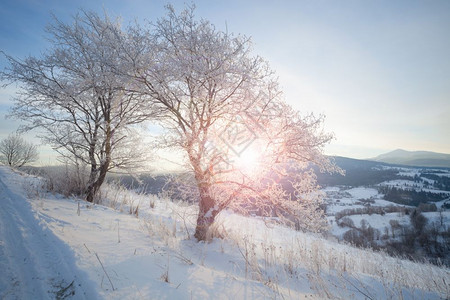 冬季山区雪农村日出风景图片