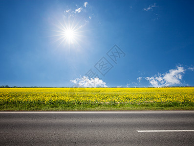 夏季阳光明媚的田地中青春的乡村地貌图片