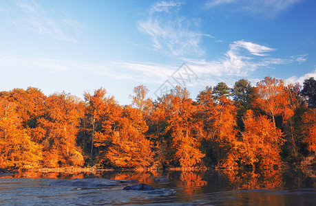 美丽的瀑布色彩森林反映在河流中图片