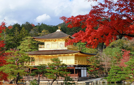 秋天叶红的金碧莲在角寺的碧莲图片