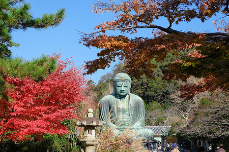 秋天日本宫仓Kotokuin寺日本的阿门寺佛像雕大布苏背景