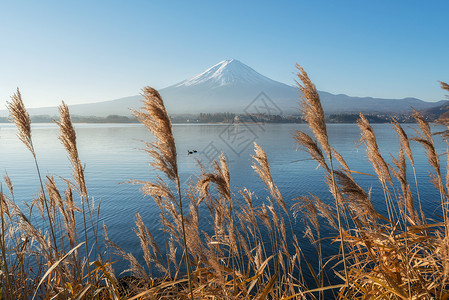 江湖川口周围风景美背中富士山高清图片