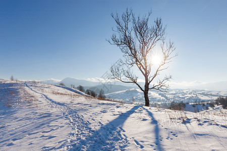 冬季山区雪农村日出风景图片