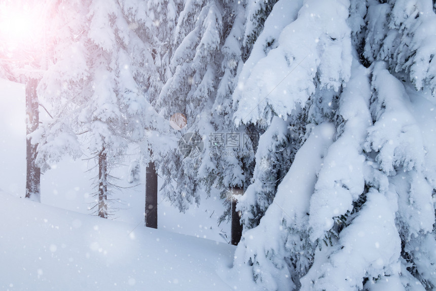 冬季山雪林图片