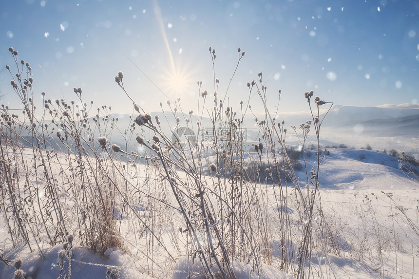 美丽的冬季山雪高景观图片