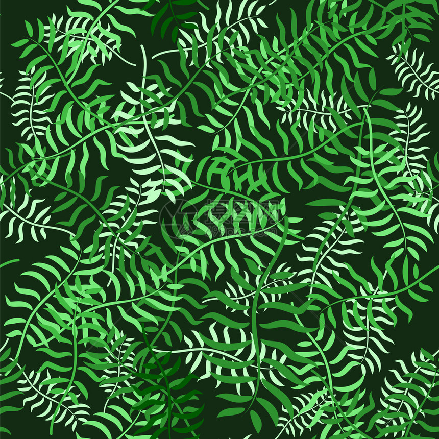 热带棕榈叶无缝模式森林外来植物背景图片